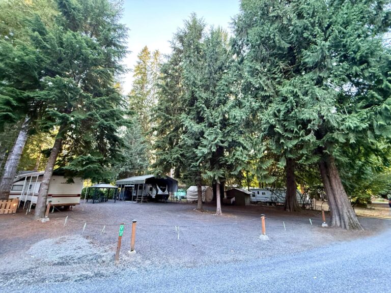 74 & 75 on 8 Full Lots Picture