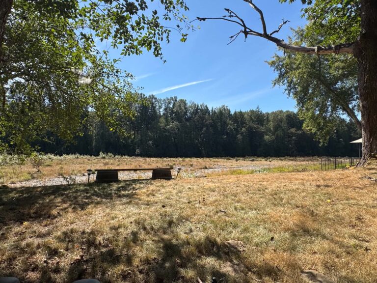 Lot 26 on 1 Pic 9